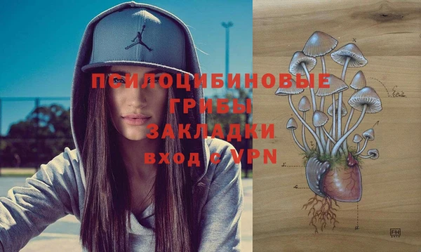 соль ск Беломорск